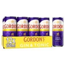  Gordon's & tonic 12x25cl 